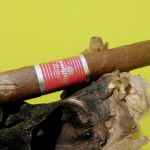 004 CAO Flathead 660 Box pressed 01