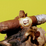 013 Bolivar Cofradia Non Cuban 01
