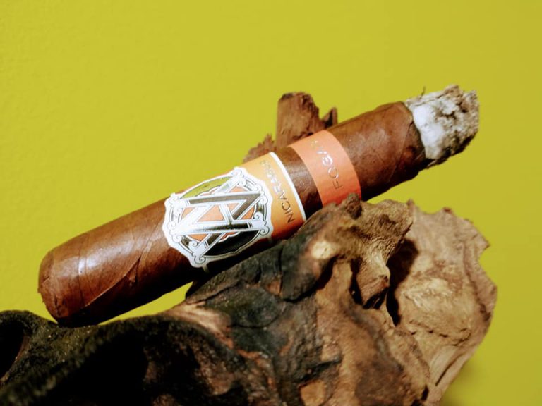 023 - AVO Syncro Nicaragua Fogata