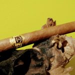 026 Hoyo De Monterrey non Cuban 1