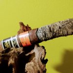 031 Aging Room Quattro Nicaragua Maestro 2