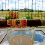 056 Partagas Yellow Label Presidente Non Cuban 2