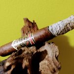 066 Ashton VSG 2