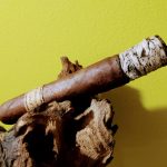 083 Leaf by Oscar Maduro 3