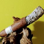 099 Rocky Patel Platinum Limited Edition Habano 2