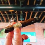 149 Warped Flor del Valle 2