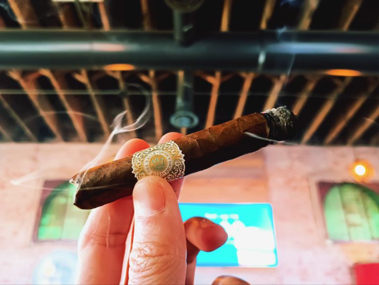 149 - Warped Flor del Valle Seleccion