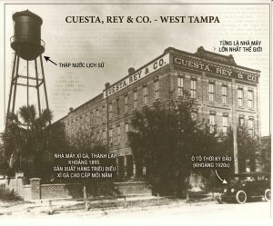 West Tampa Tobacco Co. – Khi xì gà chảy trong huyết quản