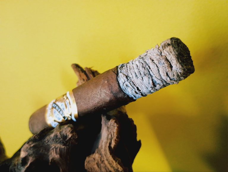 221 - Espinosa Laranja Escuro