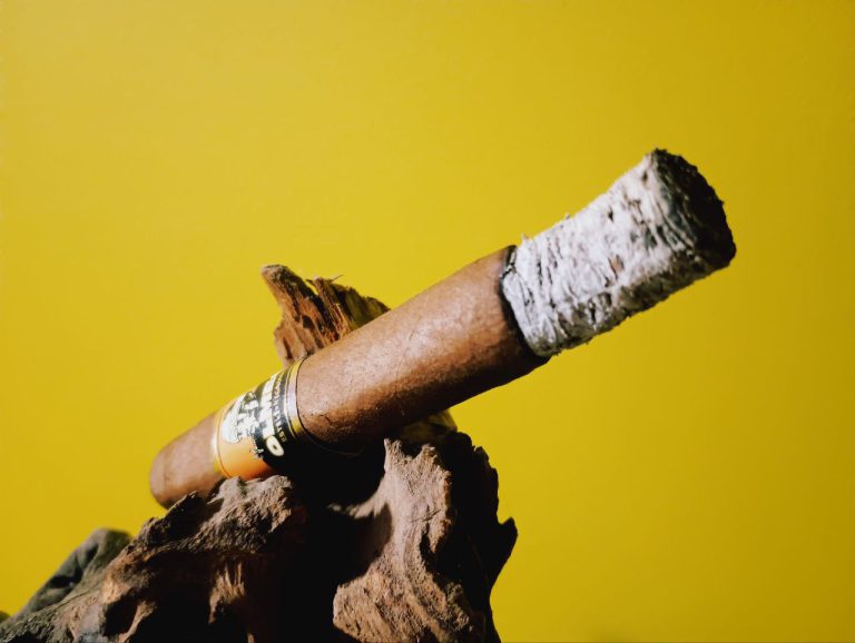 233 - Foundation Olmec Maduro and Claro. Top 2023. 93rated