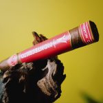 251 - Montecristo Crafted by AJ Fernandez Nicaragua Limited Editon Toro