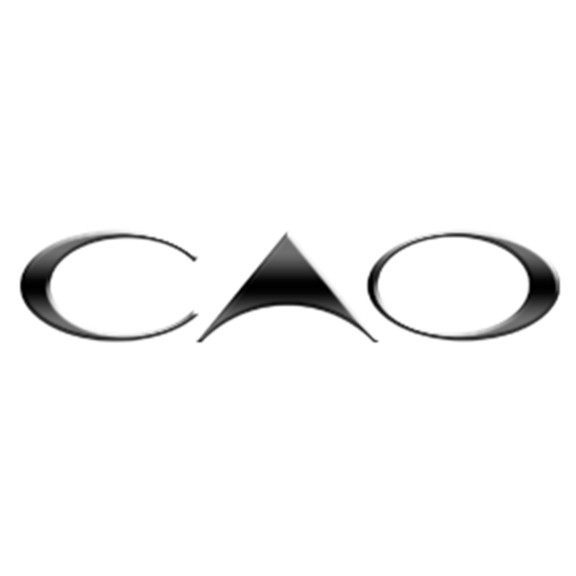 CAO popular resized logo