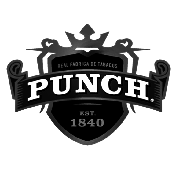 Punch popular resized logo